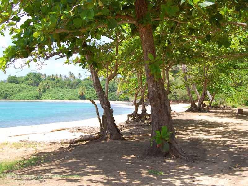Отель Calibishie Cove Экстерьер фото