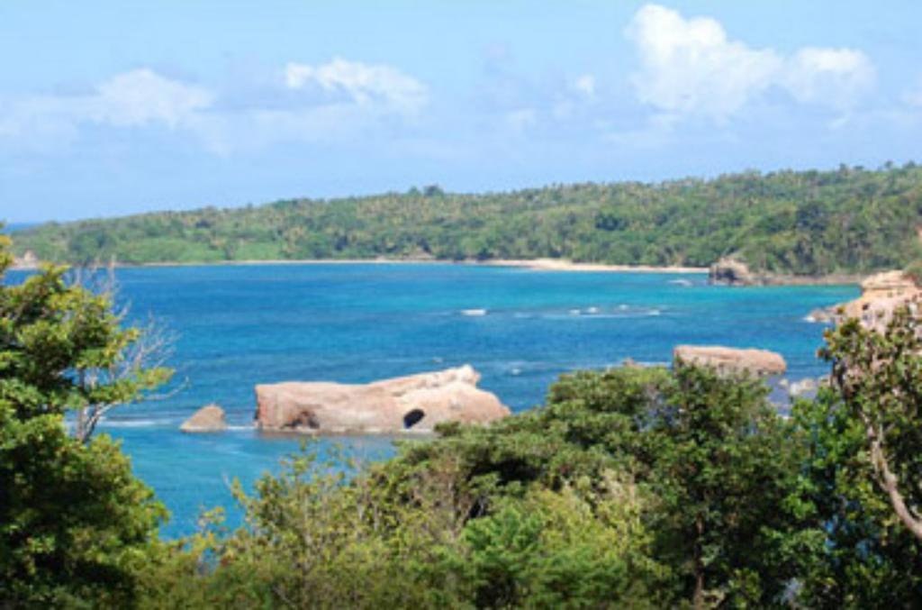 Отель Calibishie Cove Экстерьер фото